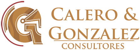 Calero & Gonzalez Consultores